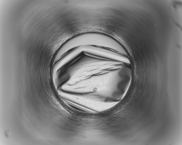 X0000101650485200807311416