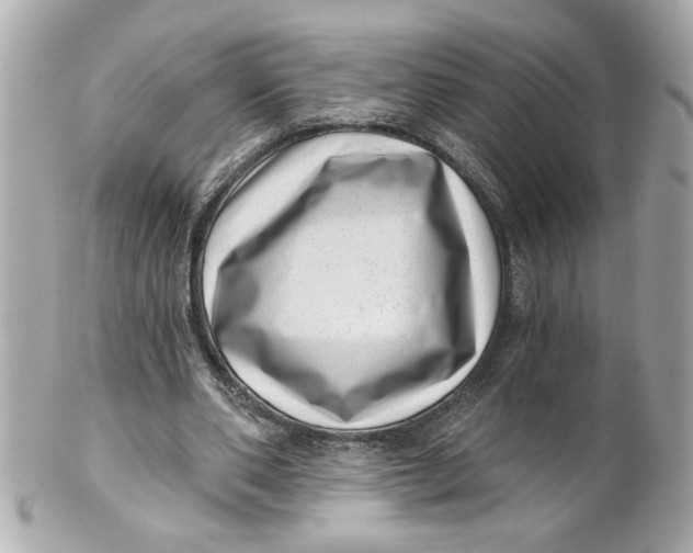 X0000101650486200807311416