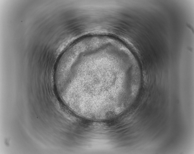 X0000101650487200807311416