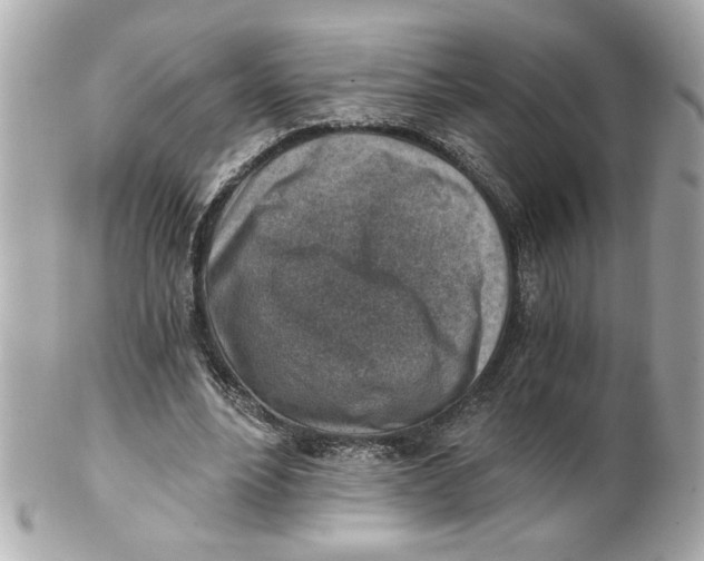 X0000101650488200807311416