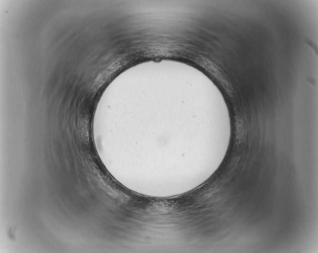 X0000101650489200807311416