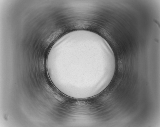 X0000101650490200807311416