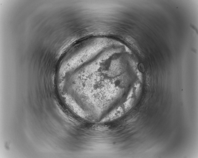 X0000101650491200807311416