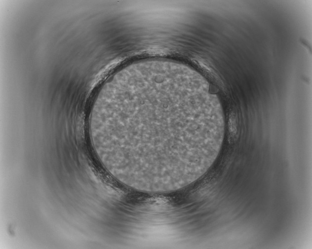 X0000101650492200807311416