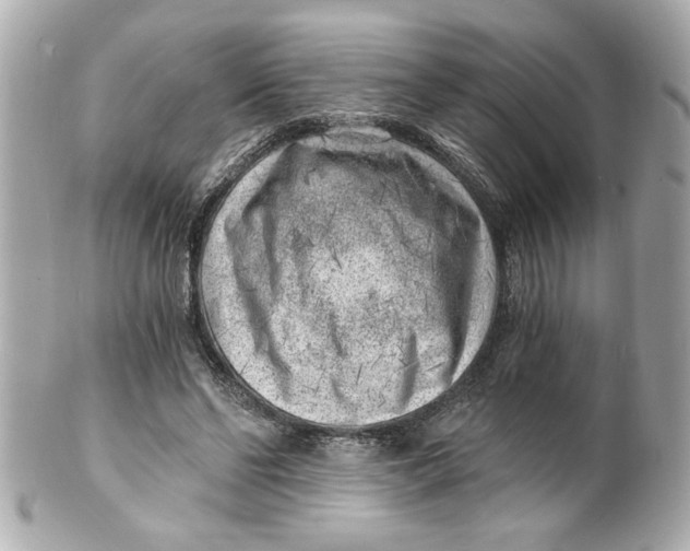 X0000101650494200807311416