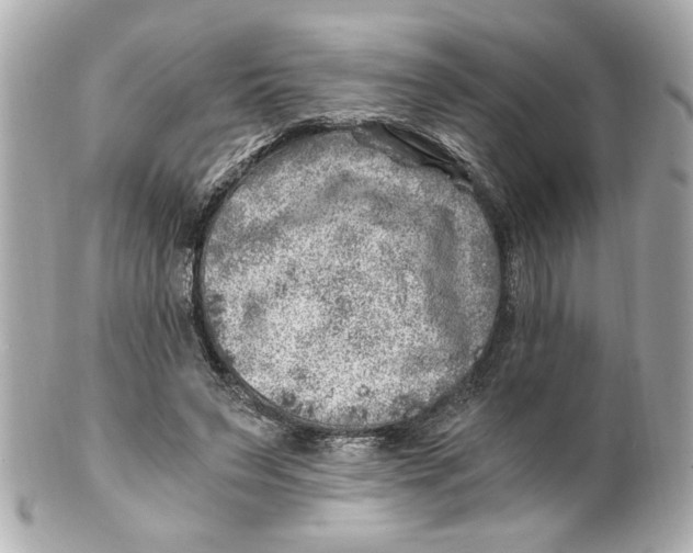 X0000101650495200807311416