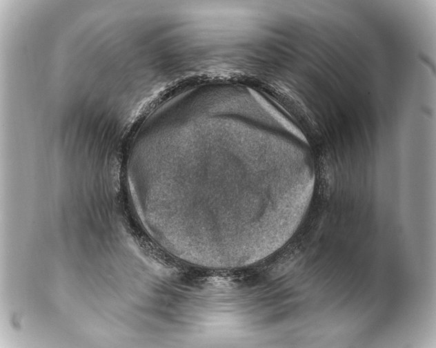 X0000101650496200807311416