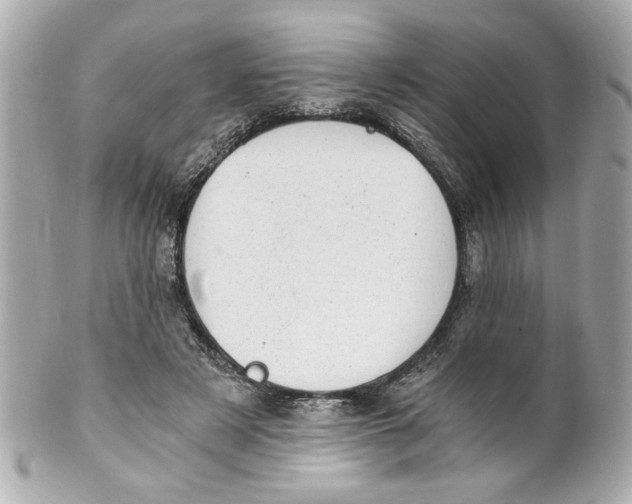 X0000101650497200807311416
