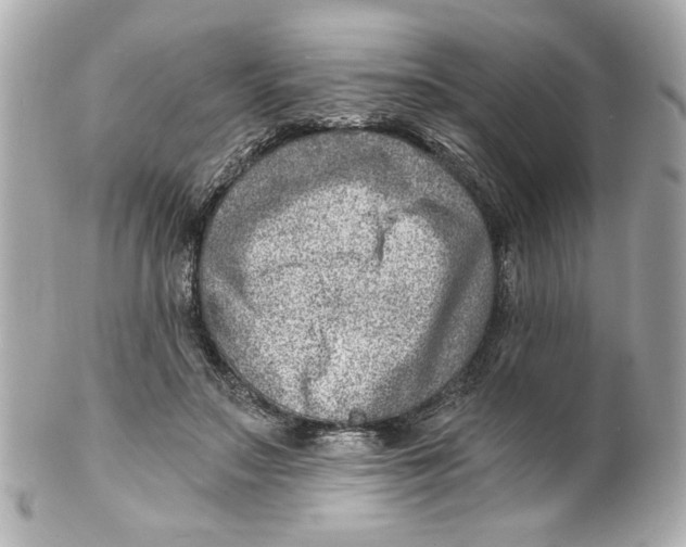 X0000101650499200807311416