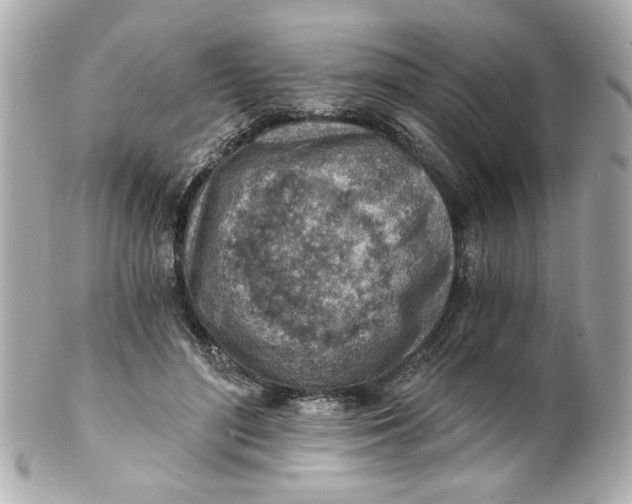 X0000101650500200807311416