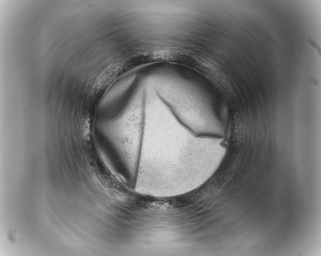 X0000101650502200807311416