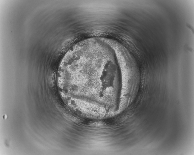 X0000101650503200807311416