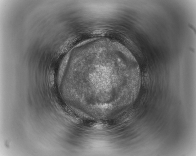 X0000101650504200807311416
