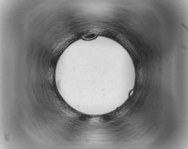 X0000101650505200807311416