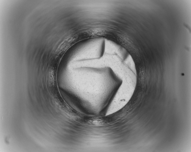 X0000101650506200807311416