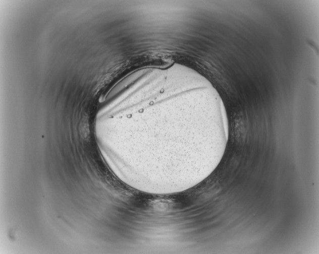 X0000101650508200807311416