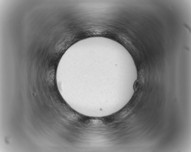 X0000101650509200807311416