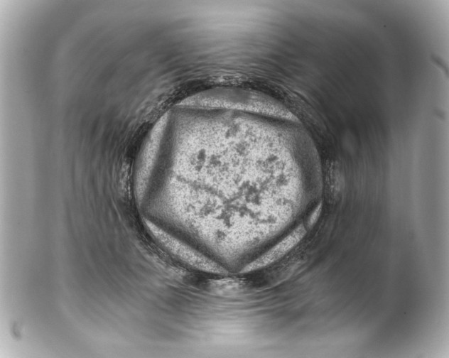 X0000101650511200807311416