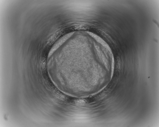 X0000101650513200807311416