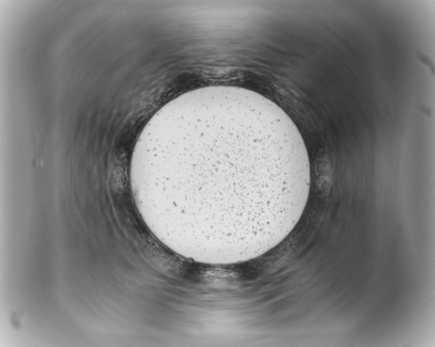 X0000101650515200807311416
