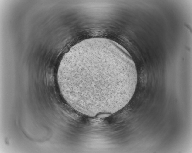 X0000101650516200807311416
