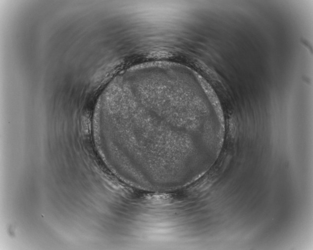 X0000101650517200807311416
