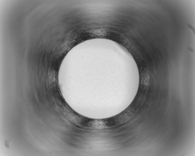 X0000101650518200807311416