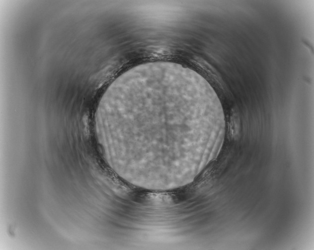 X0000101650520200807311416