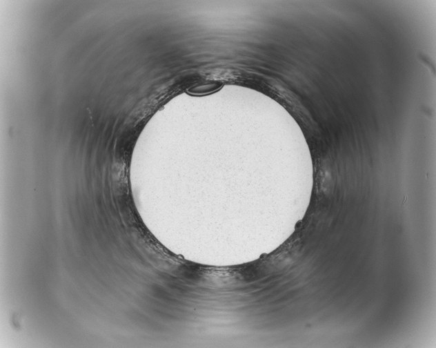X0000101650521200807311416