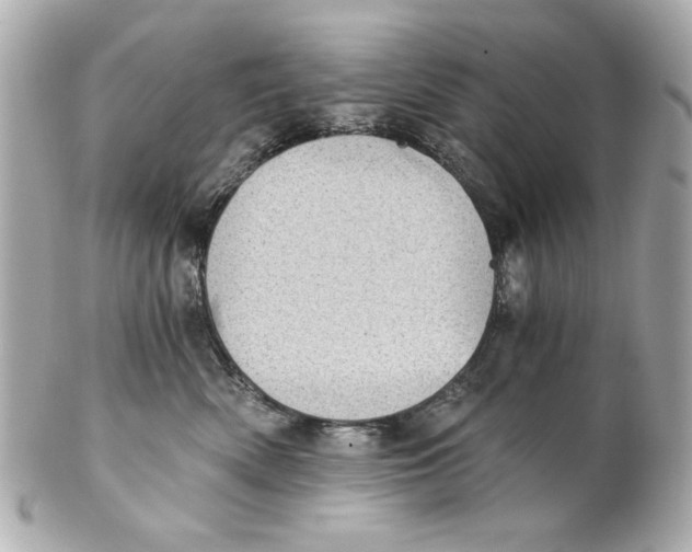 X0000101650522200807311416