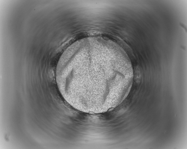 X0000101650523200807311416