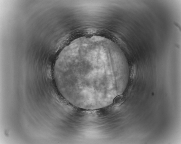 X0000101650524200807311416