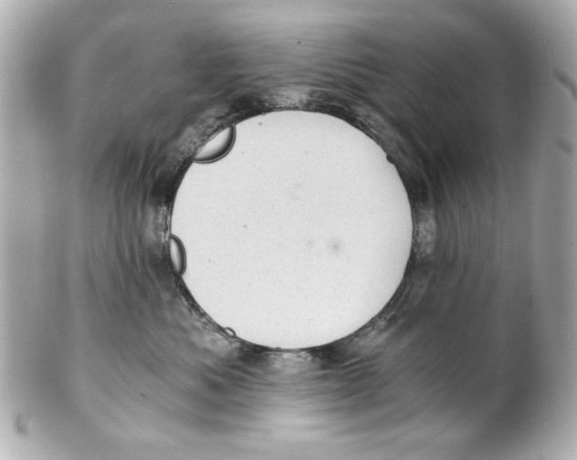 X0000101650525200807311416