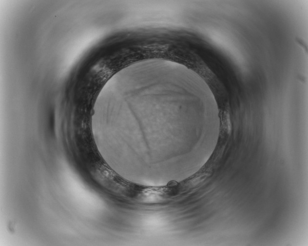 X0000101650526200807311416