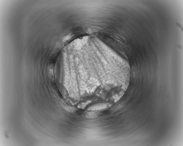 X0000101650527200807311416