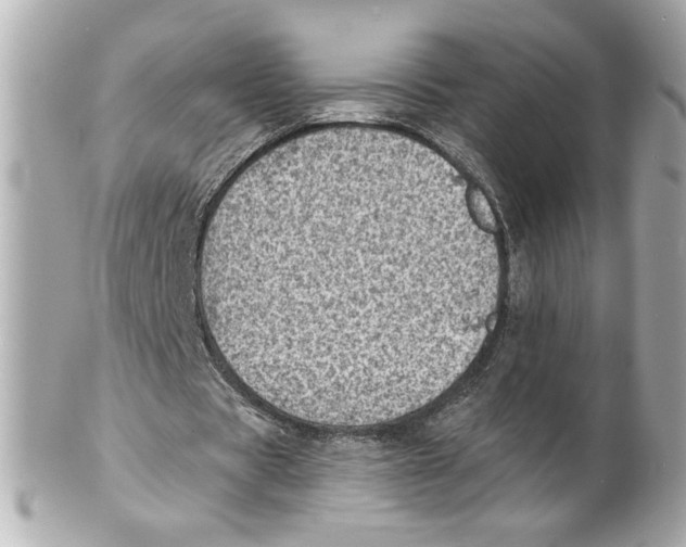 X0000101650529200807311415