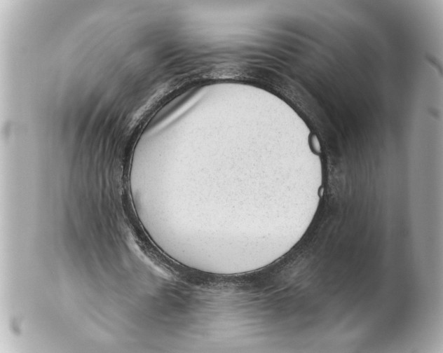 X0000101650530200807311415