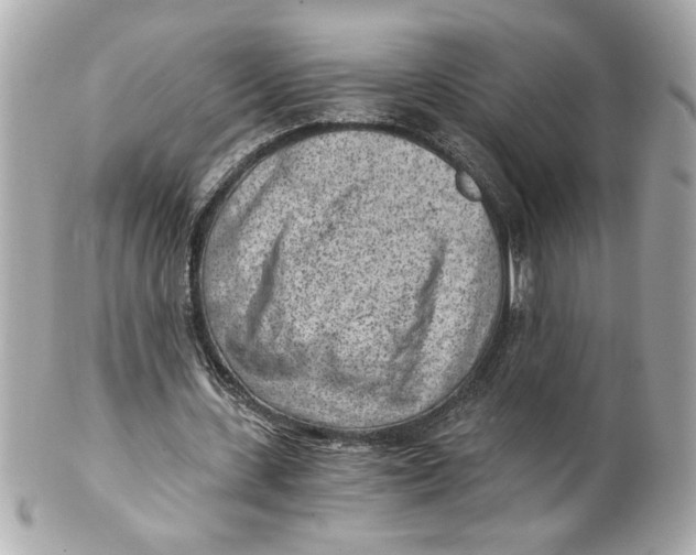 X0000101650531200807311415