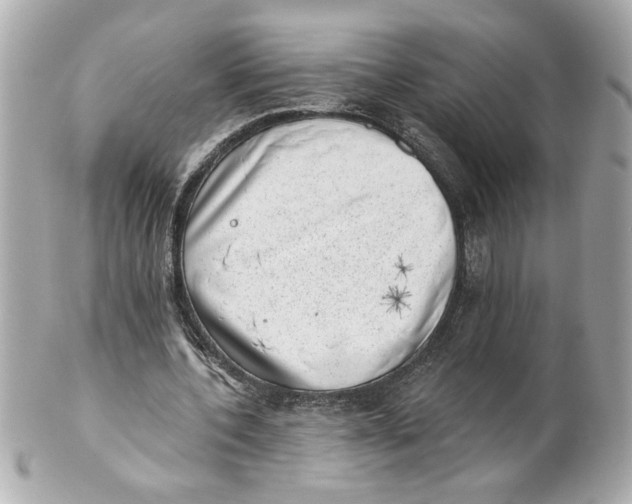 X0000101650532200807311415