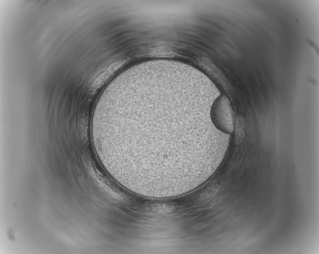 X0000101650533200807311415