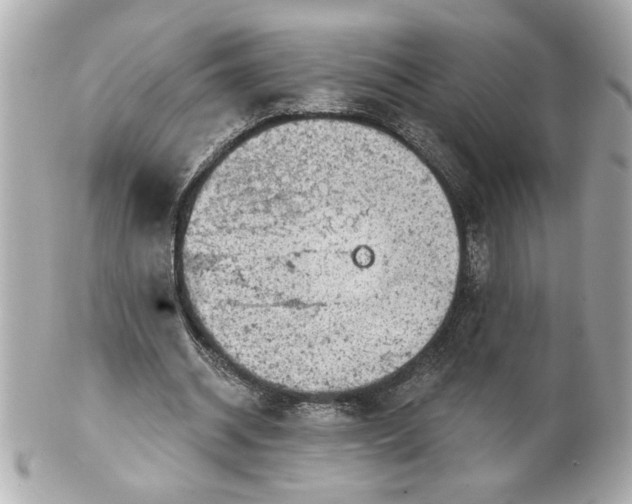 X0000101650534200807311415