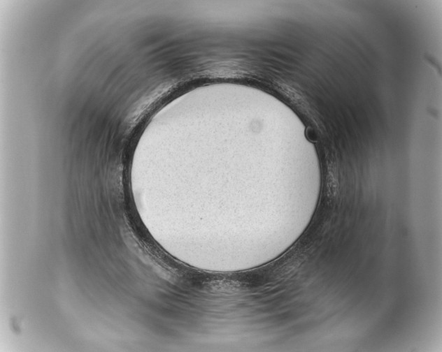 X0000101650535200807311415
