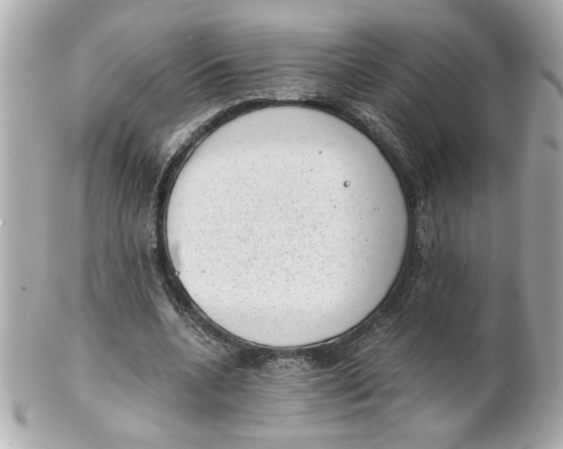 X0000101650536200807311415