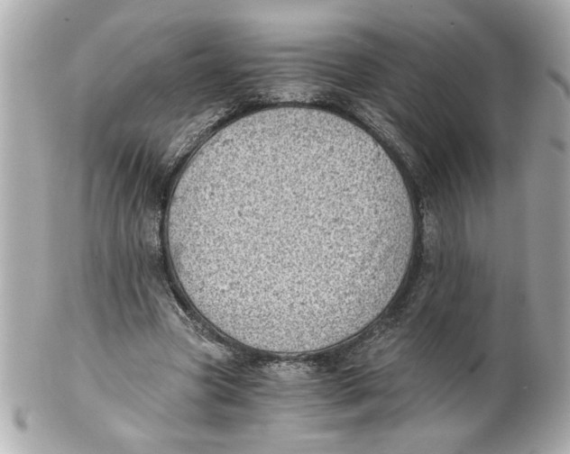 X0000101650537200807311415