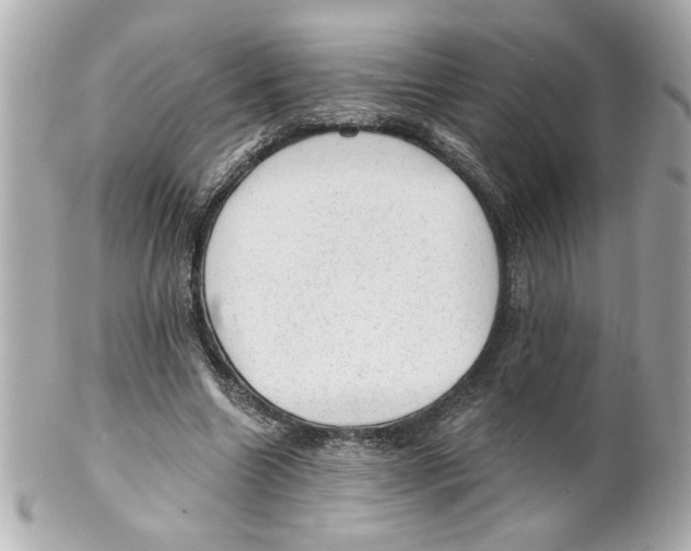 X0000101650538200807311415