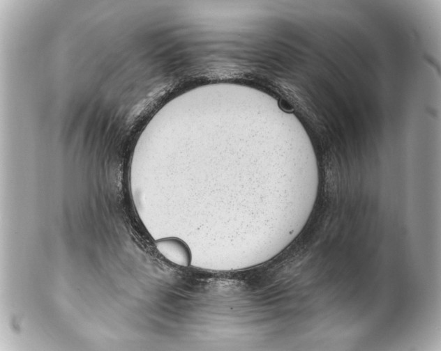 X0000101650539200807311415