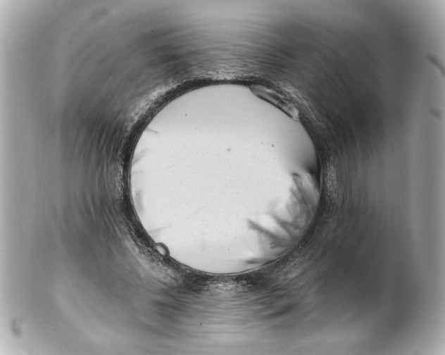 X0000101650540200807311415