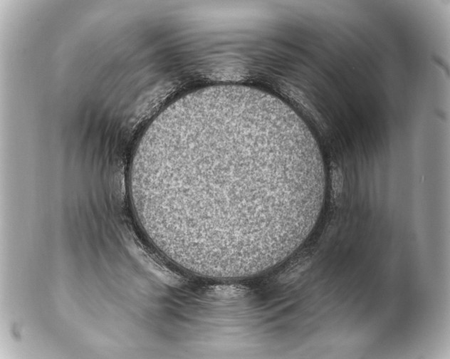 X0000101650541200807311415