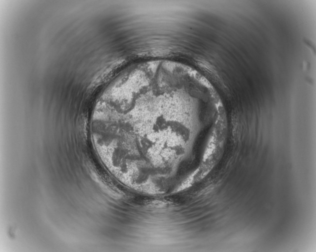 X0000101650542200807311415