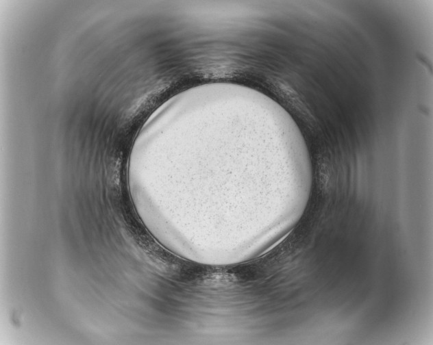 X0000101650543200807311415